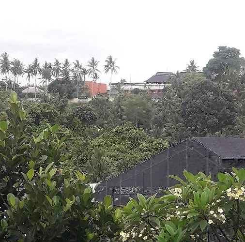 Waterfall Hostal *